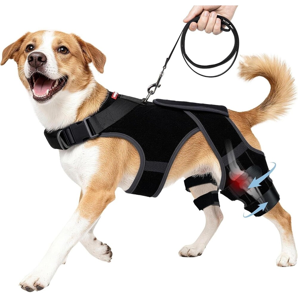 Dog Knee Brace for Torn ACL/CCL Hind Leg, Adjustable Hip Brace-Hip Dysplasia Lg